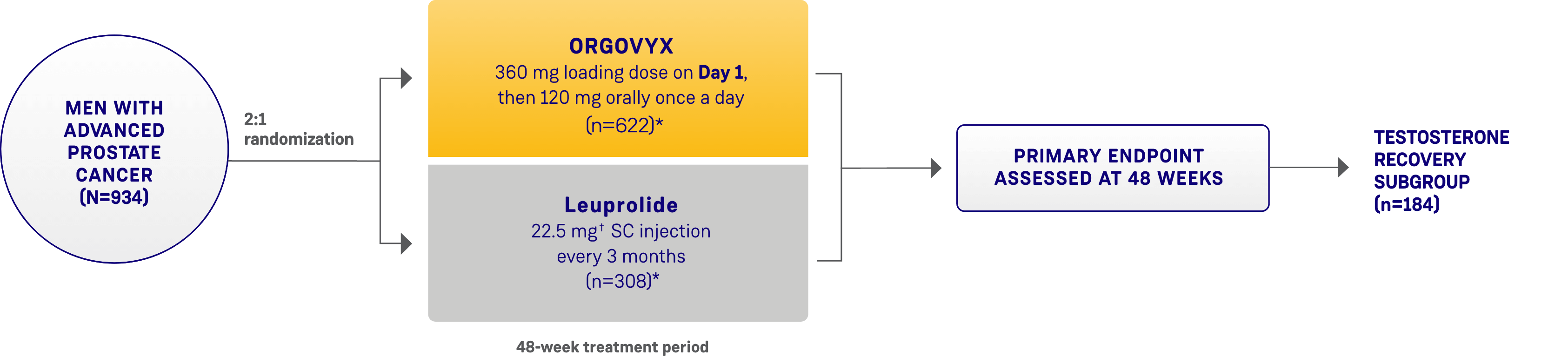 Schematic design of the HERO study evaluating ORGOVYX and leuprolide