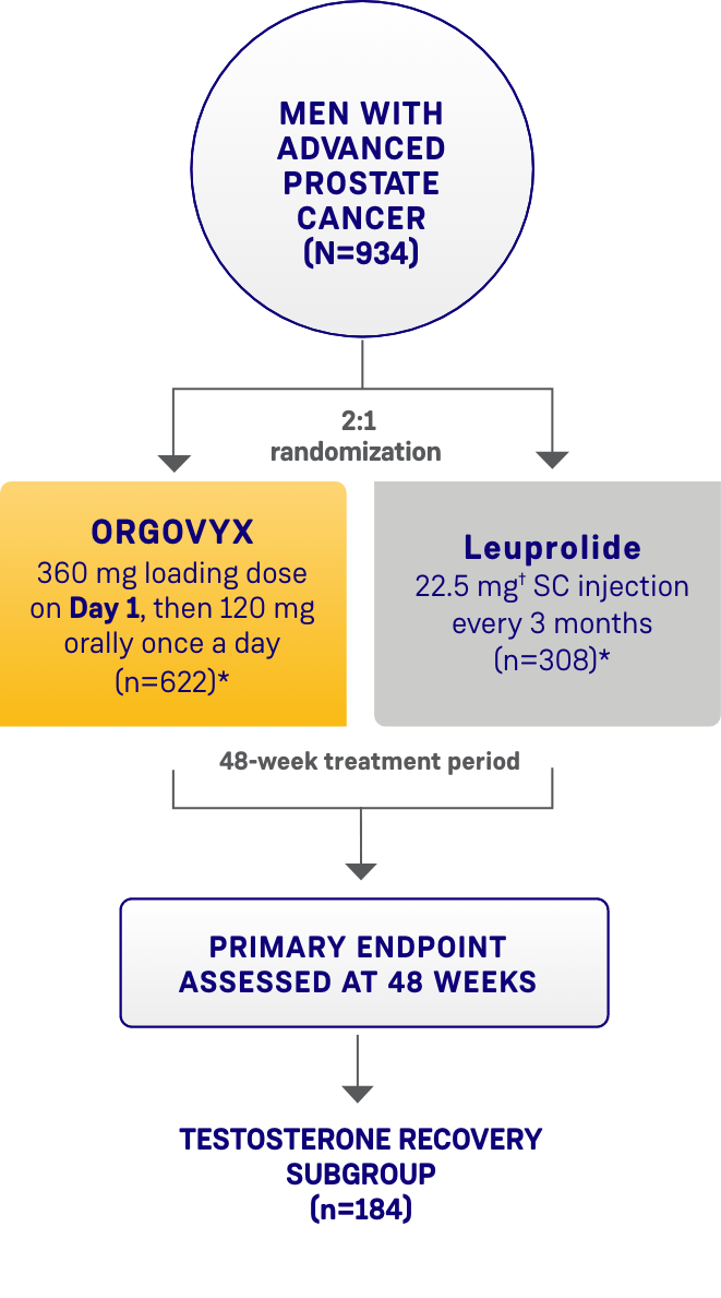 Schematic design of the HERO study evaluating ORGOVYX and leuprolide
